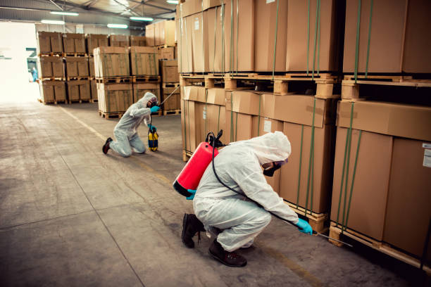 Best Termite Control Services  in Connell, WA