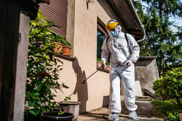 Professional Pest Control in Connell, WA