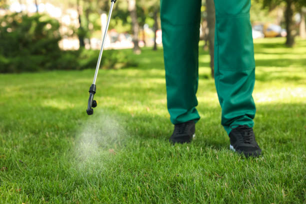 Flea Control Services in Connell, WA