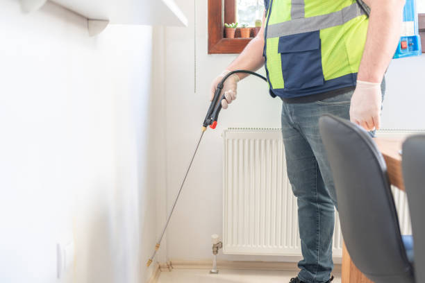 Best Wasp Removal Services  in Connell, WA