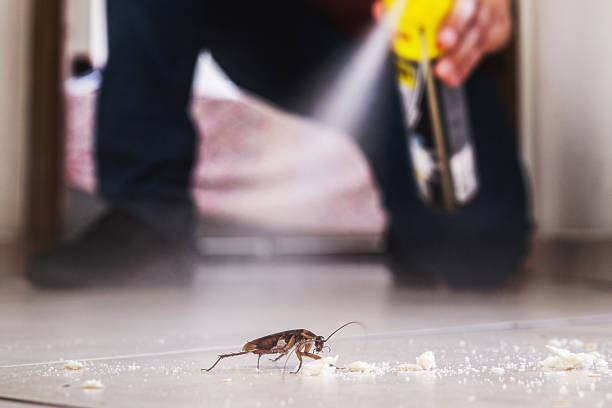 Best Commercial Pest Control Services  in Connell, WA